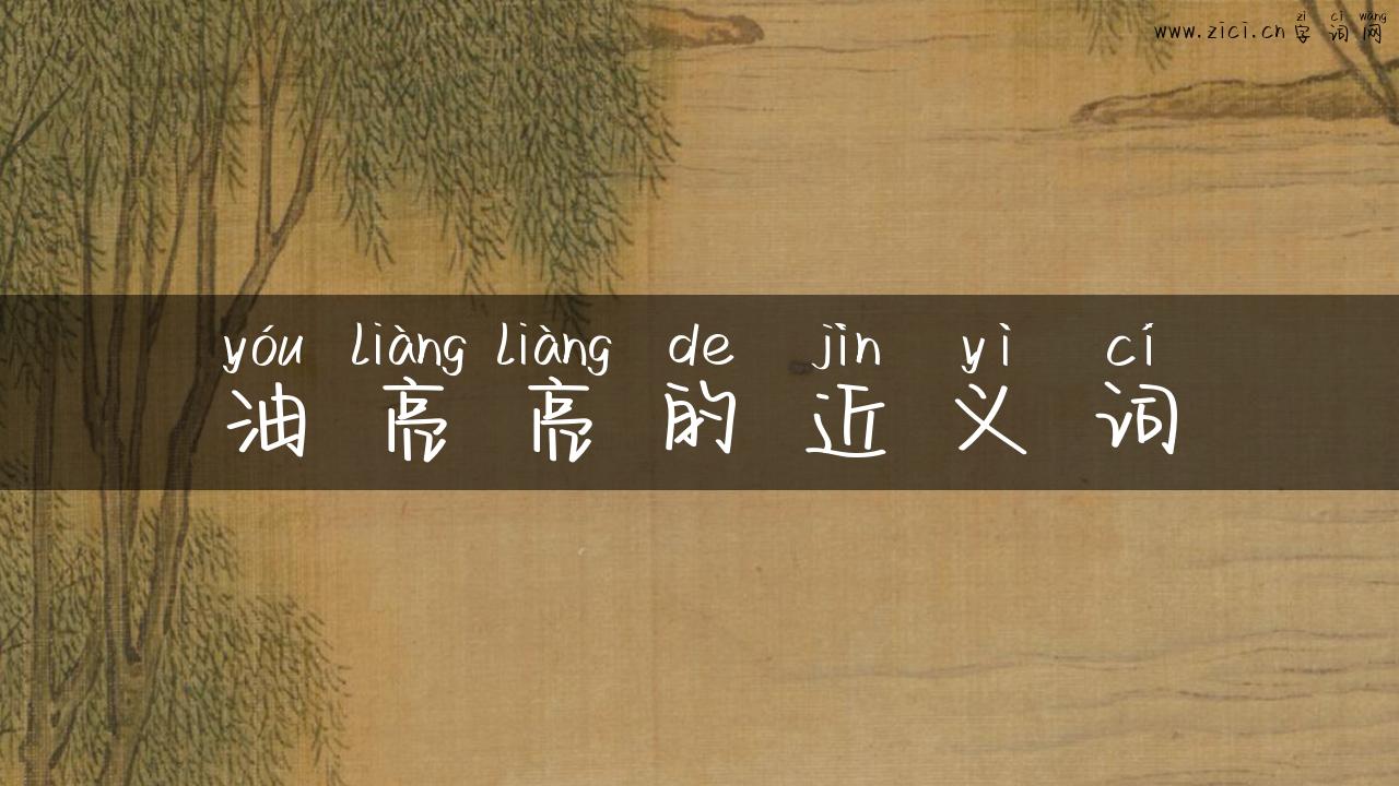 油亮亮的近义词