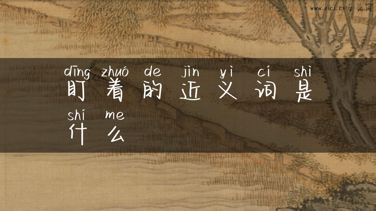 盯着的近义词是什么