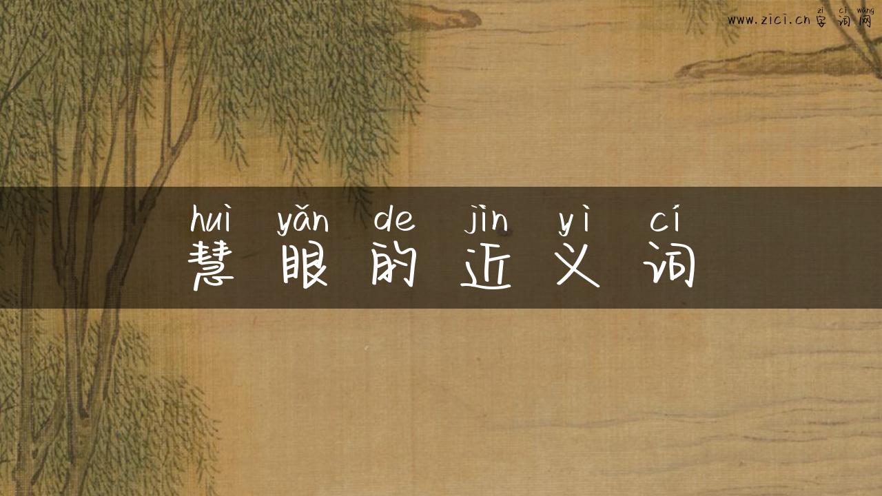 慧眼的近义词