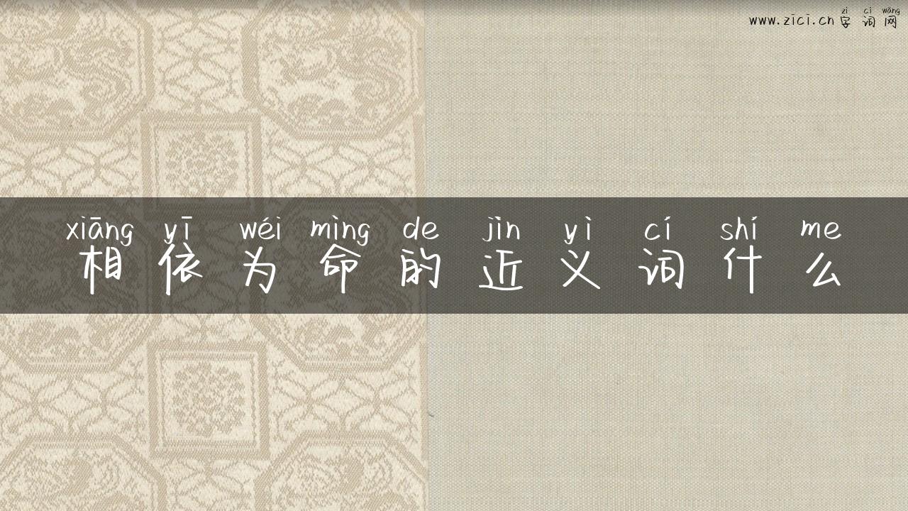 相依为命的近义词什么