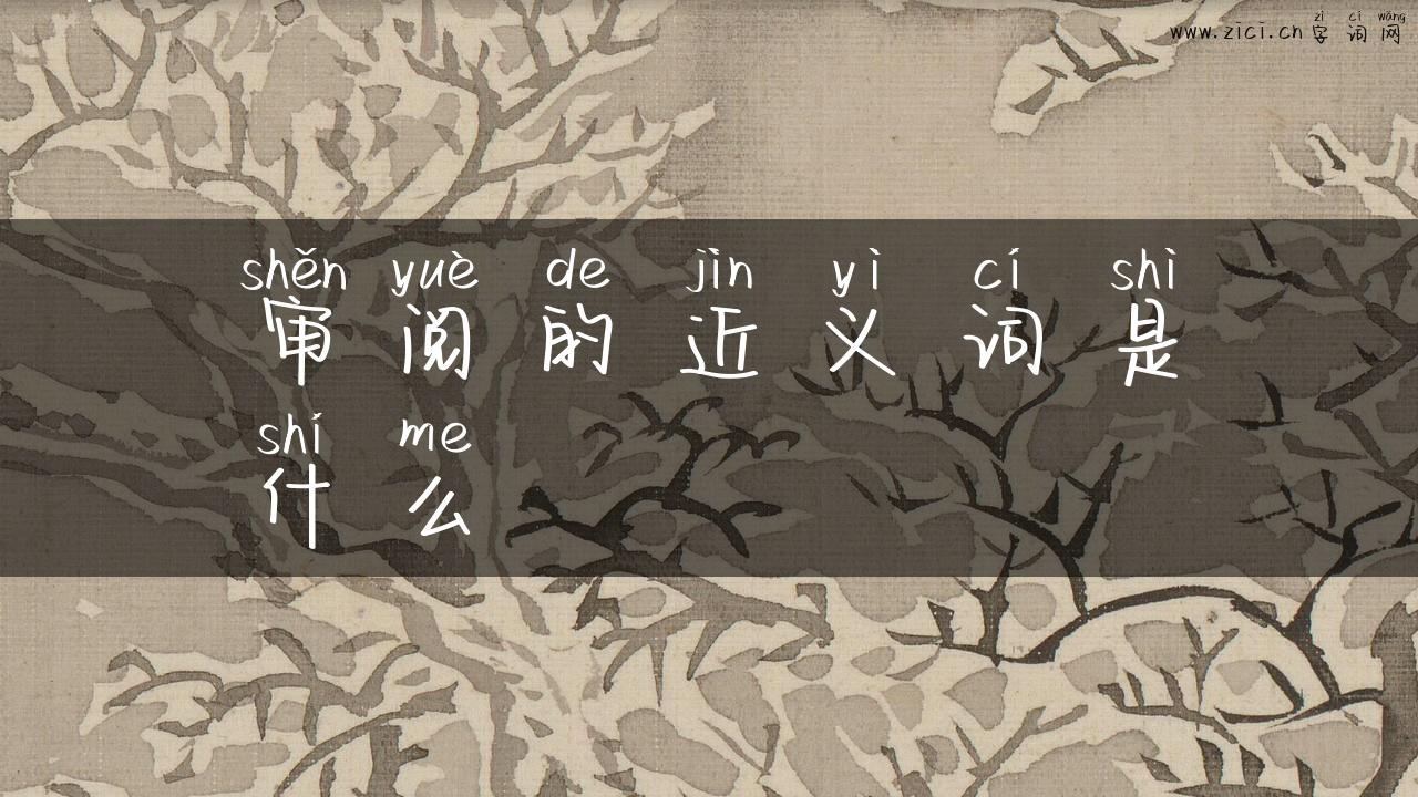 审阅的近义词是什么