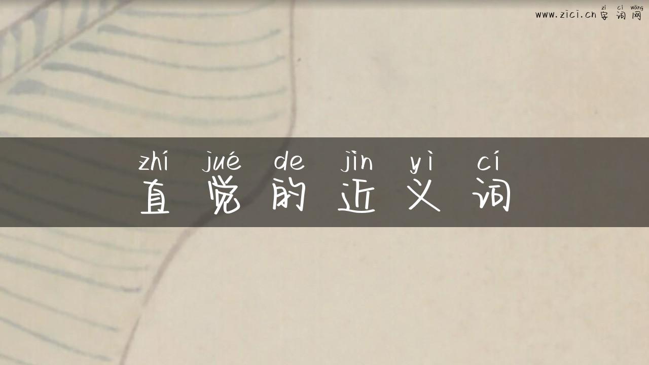 直觉的近义词
