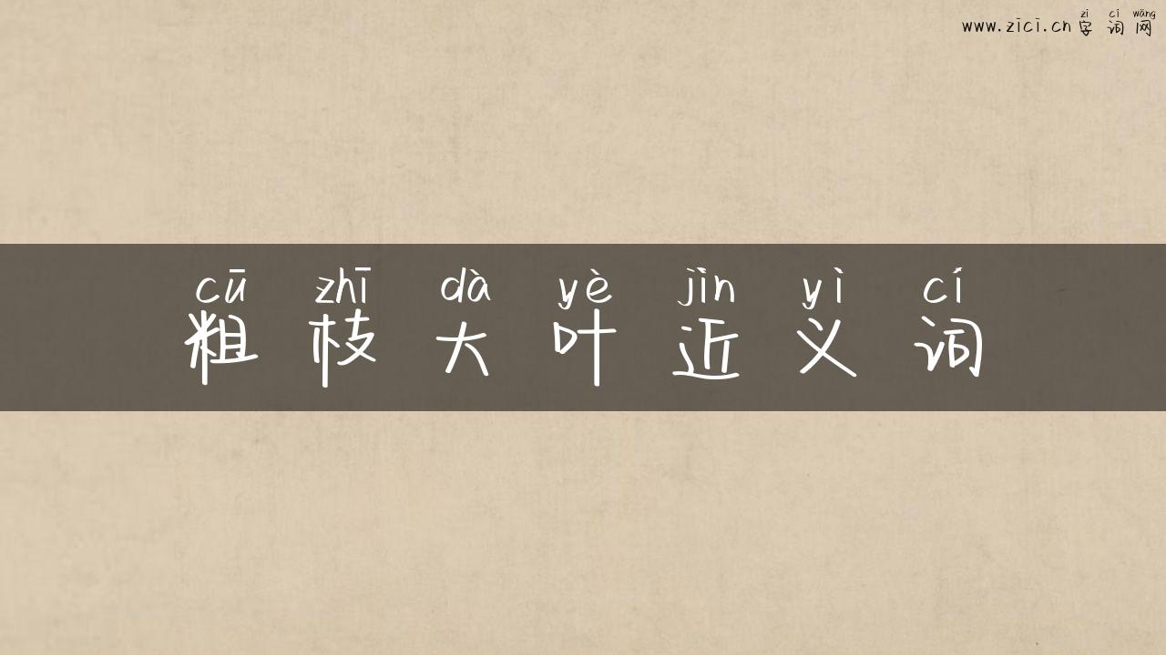 粗枝大叶近义词