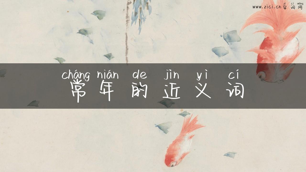 常年的近义词
