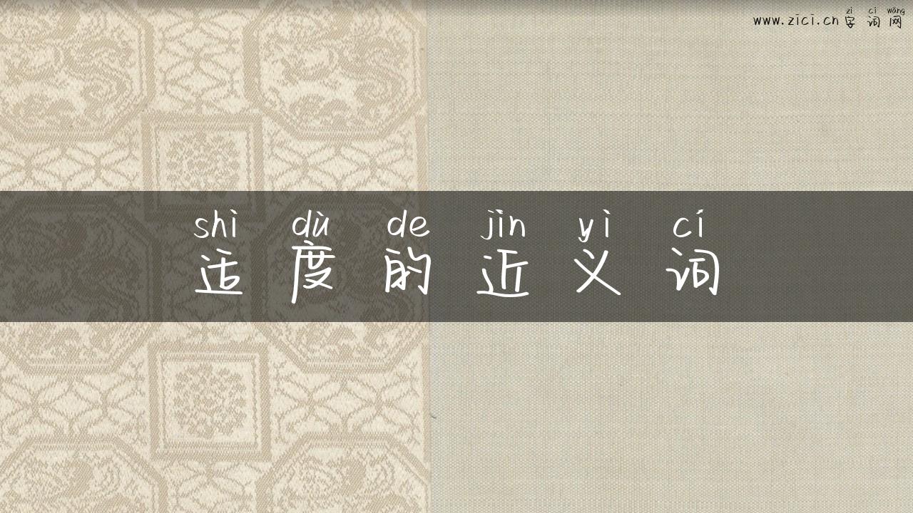 适度的近义词