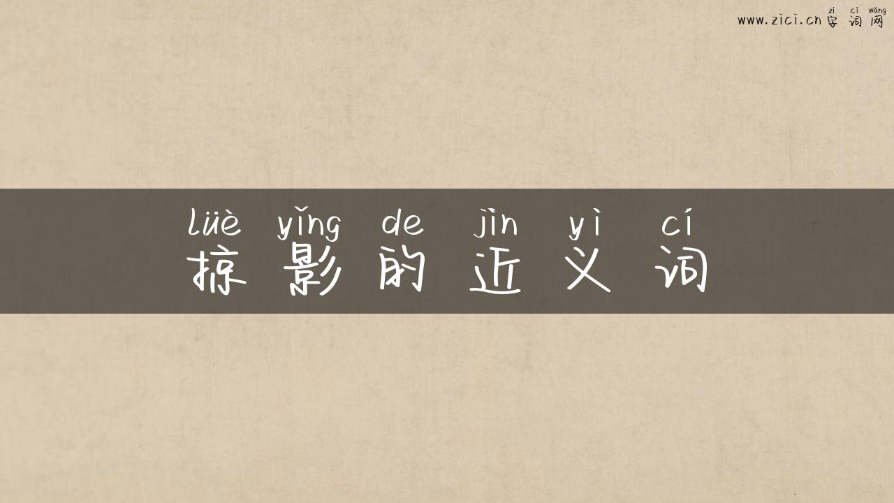 掠影的近义词