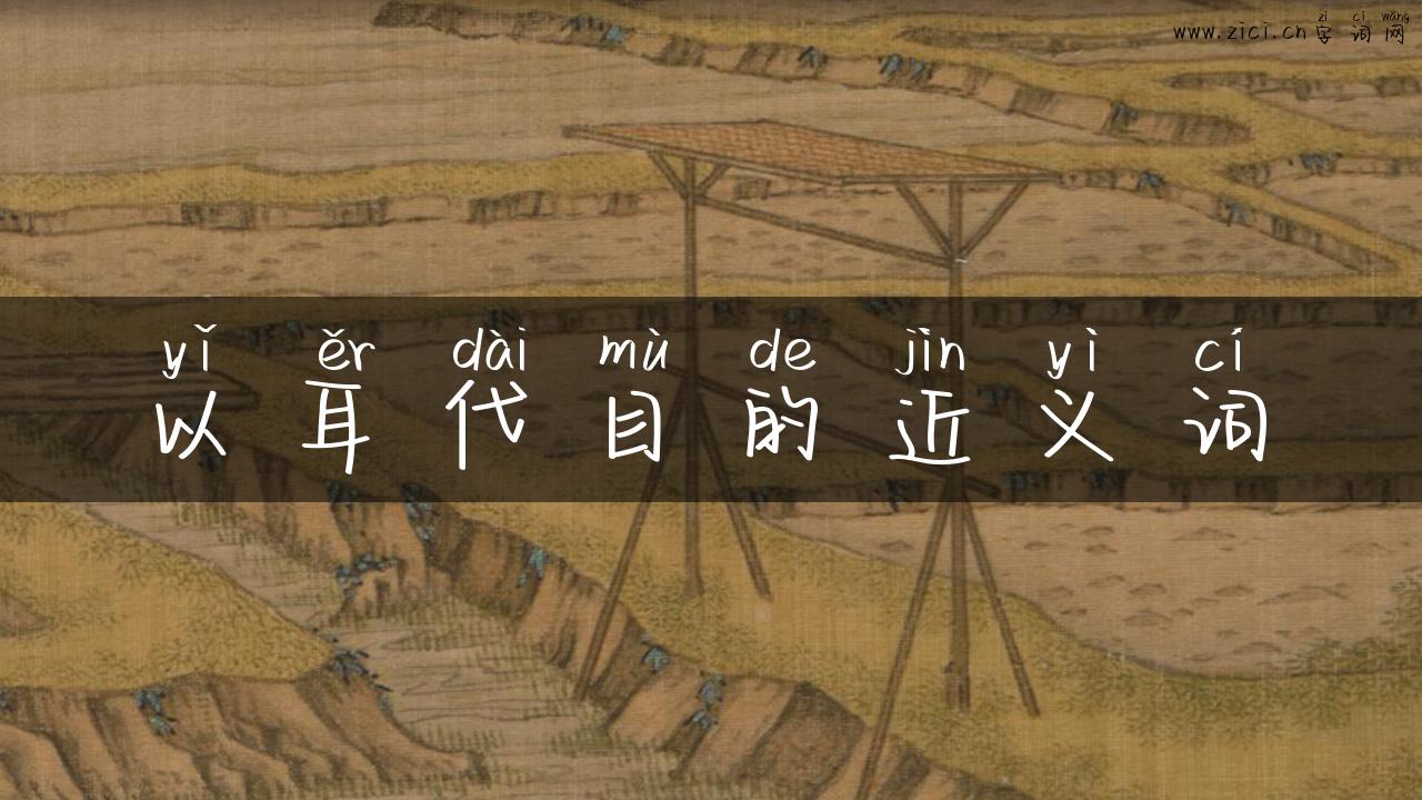 以耳代目的近义词