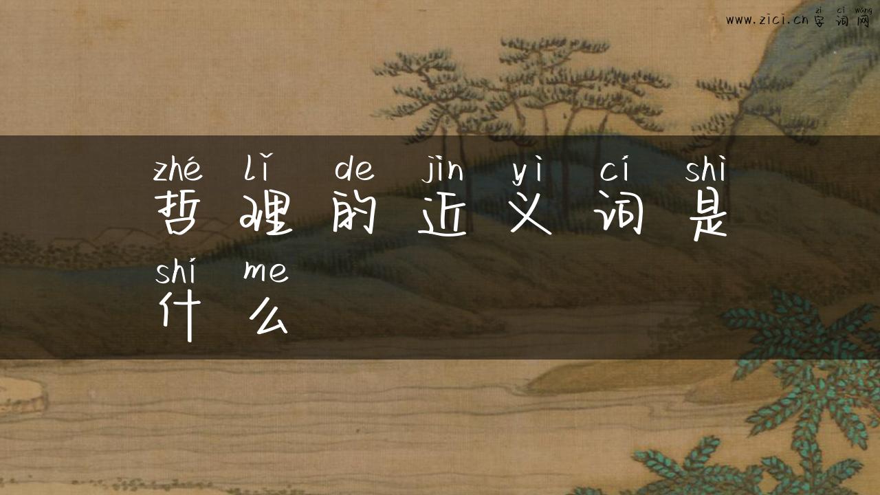 哲理的近义词是什么
