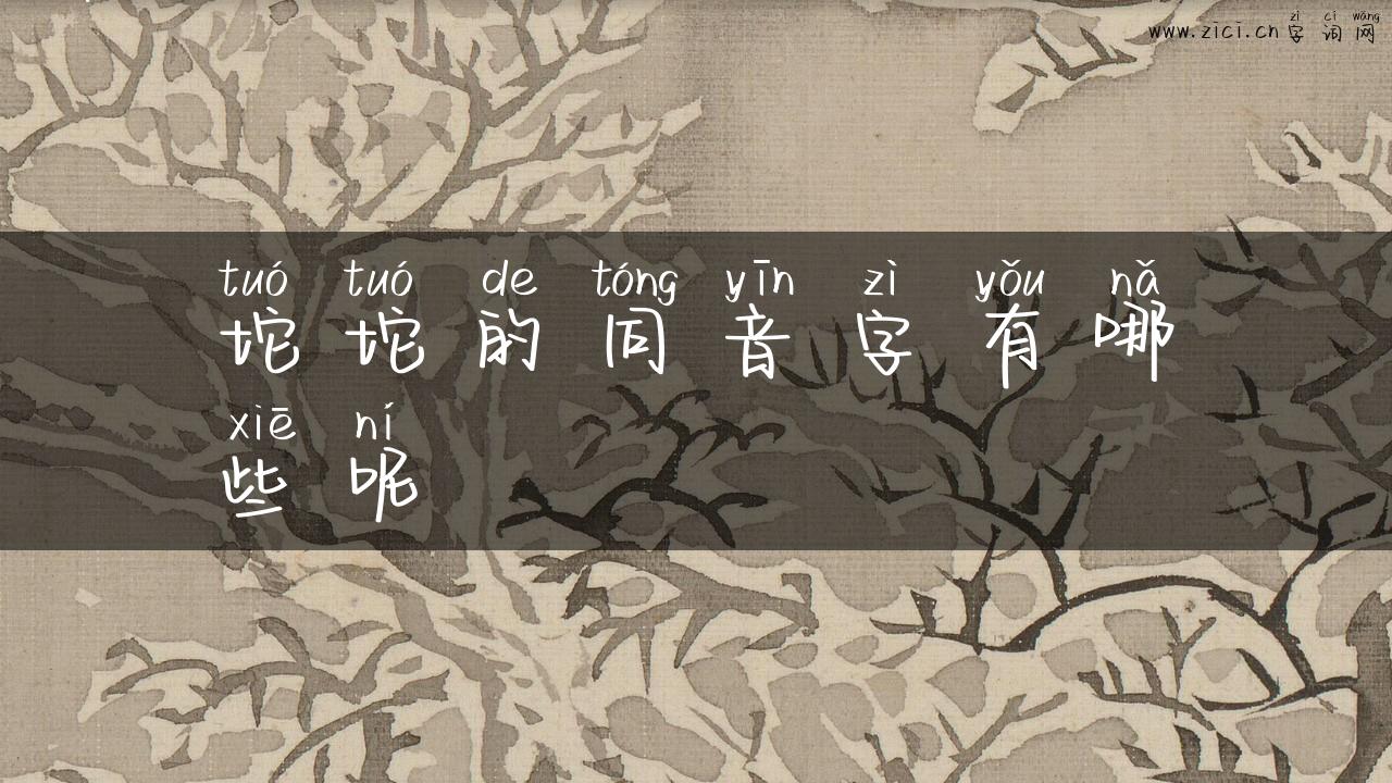 坨坨的同音字有哪些呢