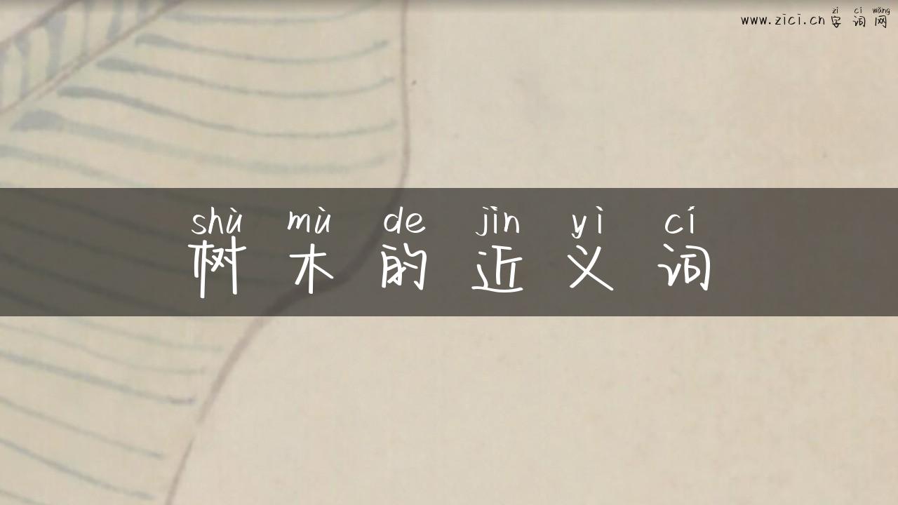 树木的近义词