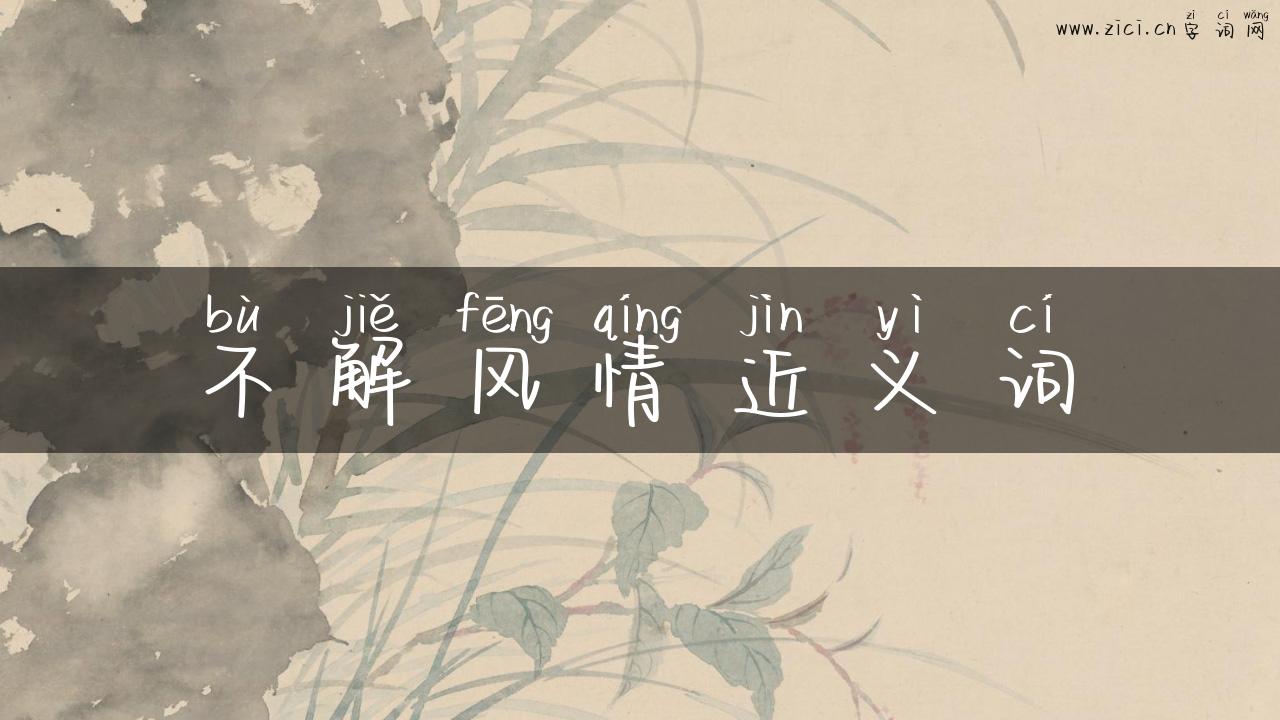 不解风情近义词