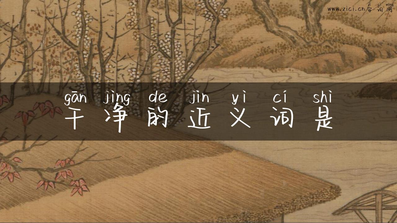 干净的近义词是