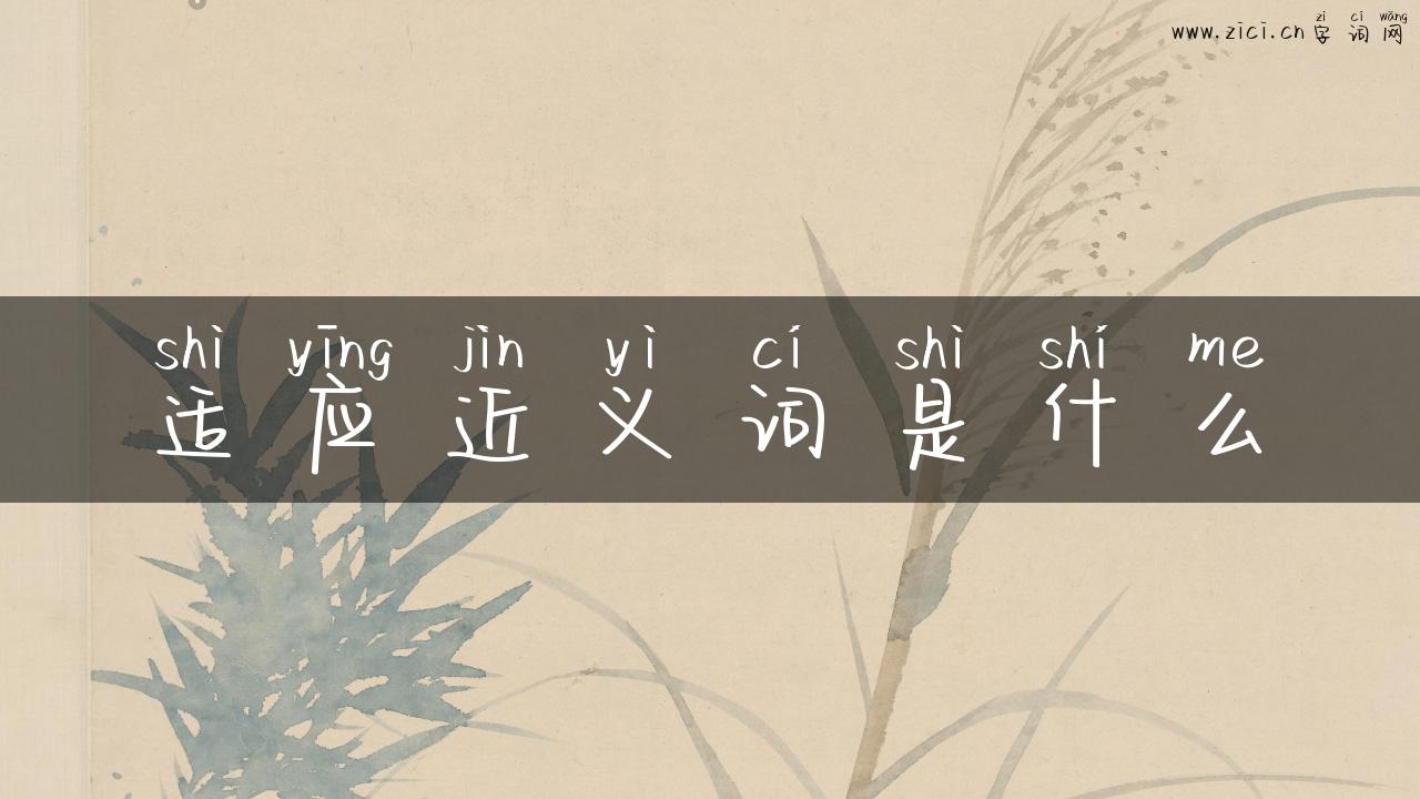 适应近义词是什么