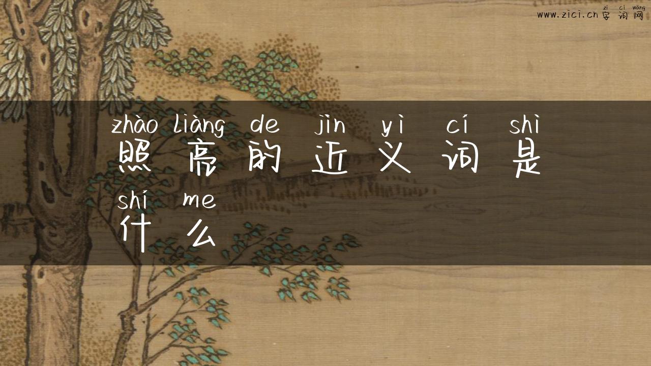 照亮的近义词是什么