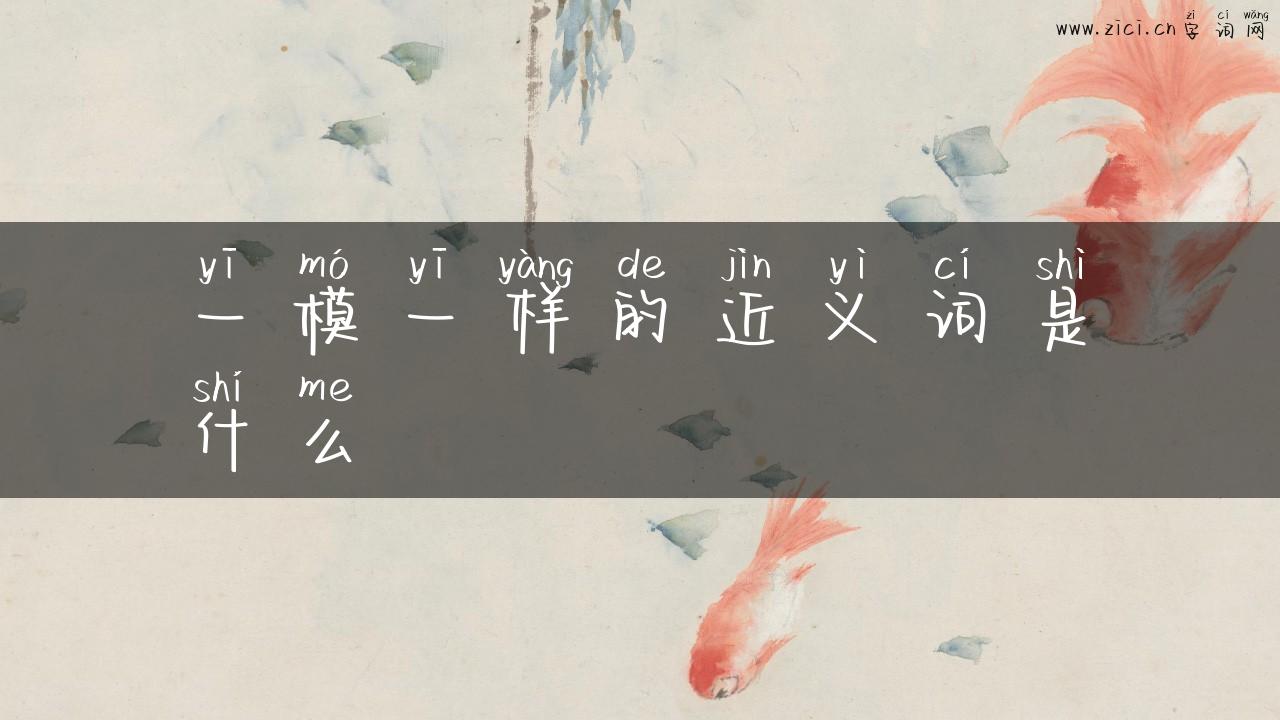 一模一样的近义词是什么