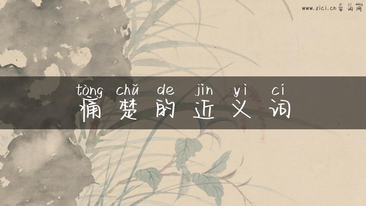 痛楚的近义词