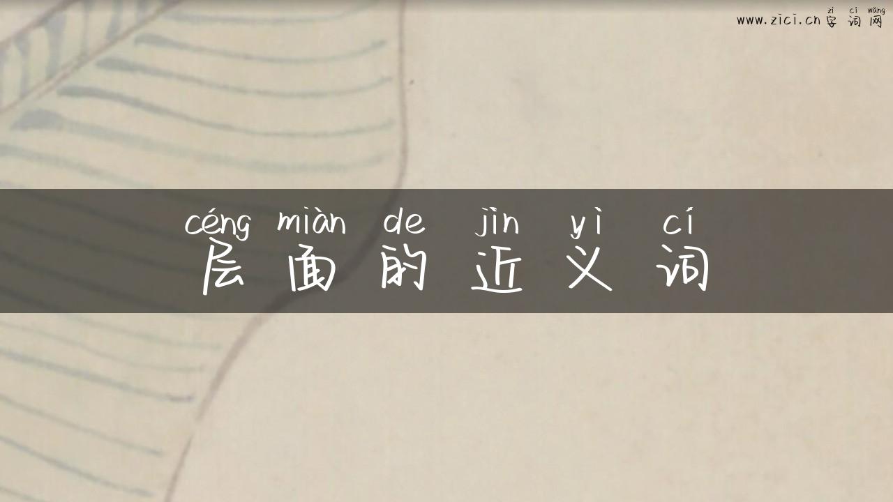 层面的近义词