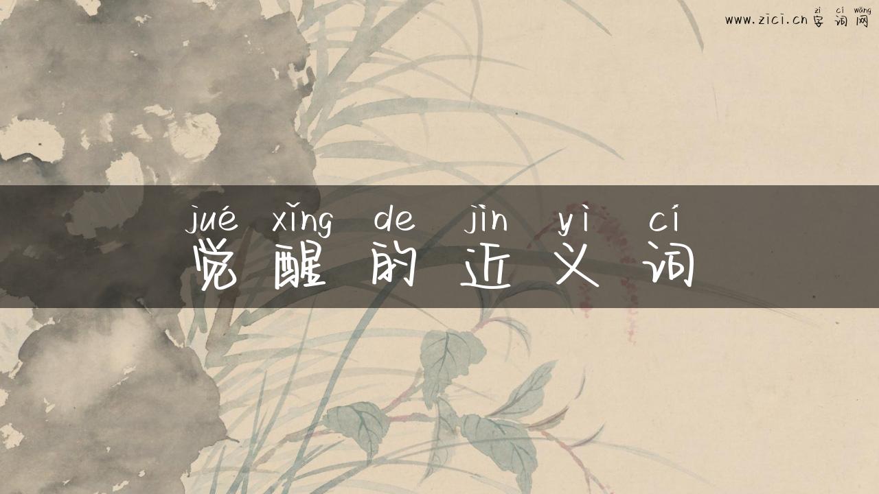 觉醒的近义词