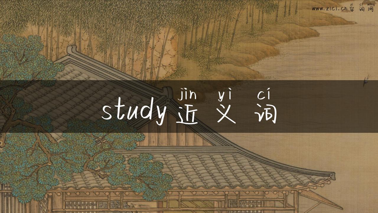study近义词
