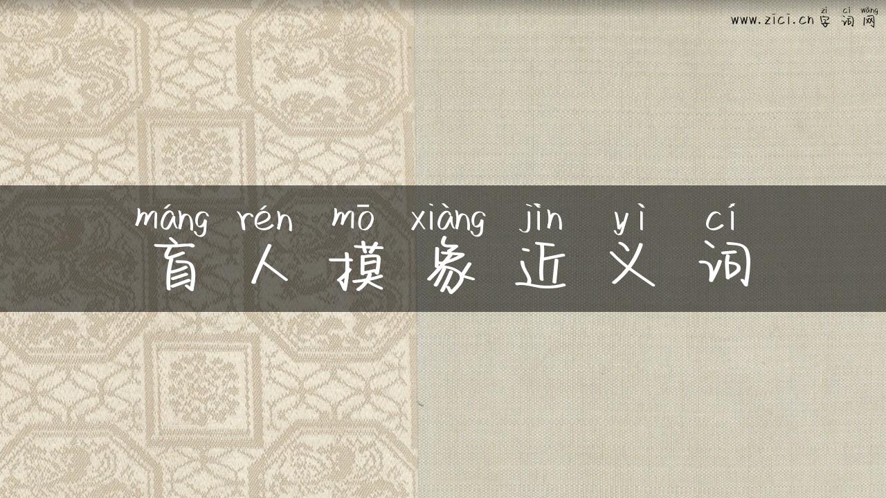 盲人摸象近义词
