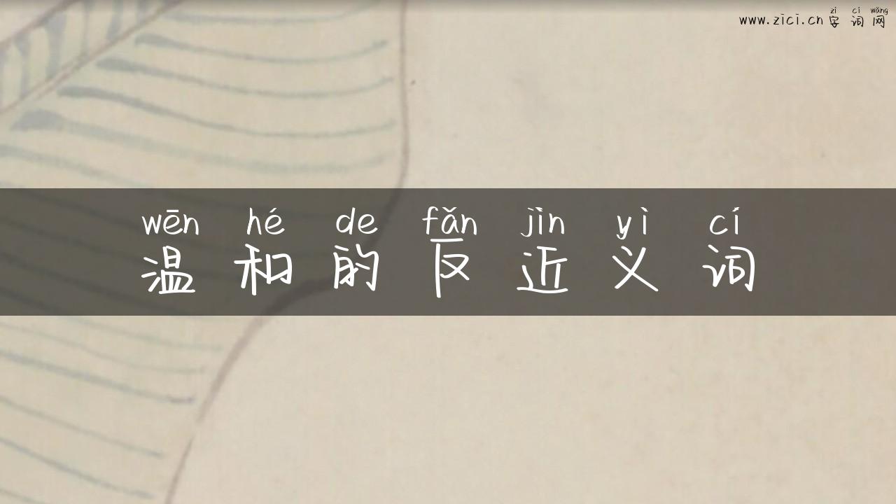 温和的反近义词