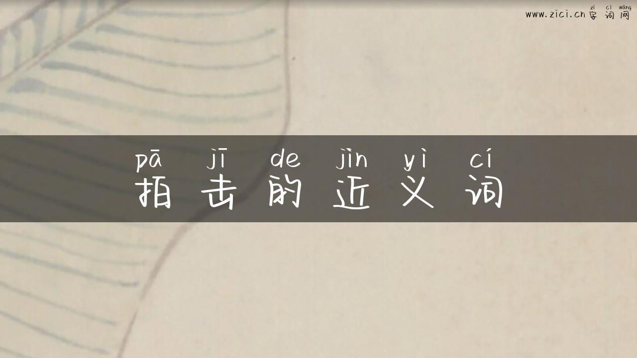 拍击的近义词