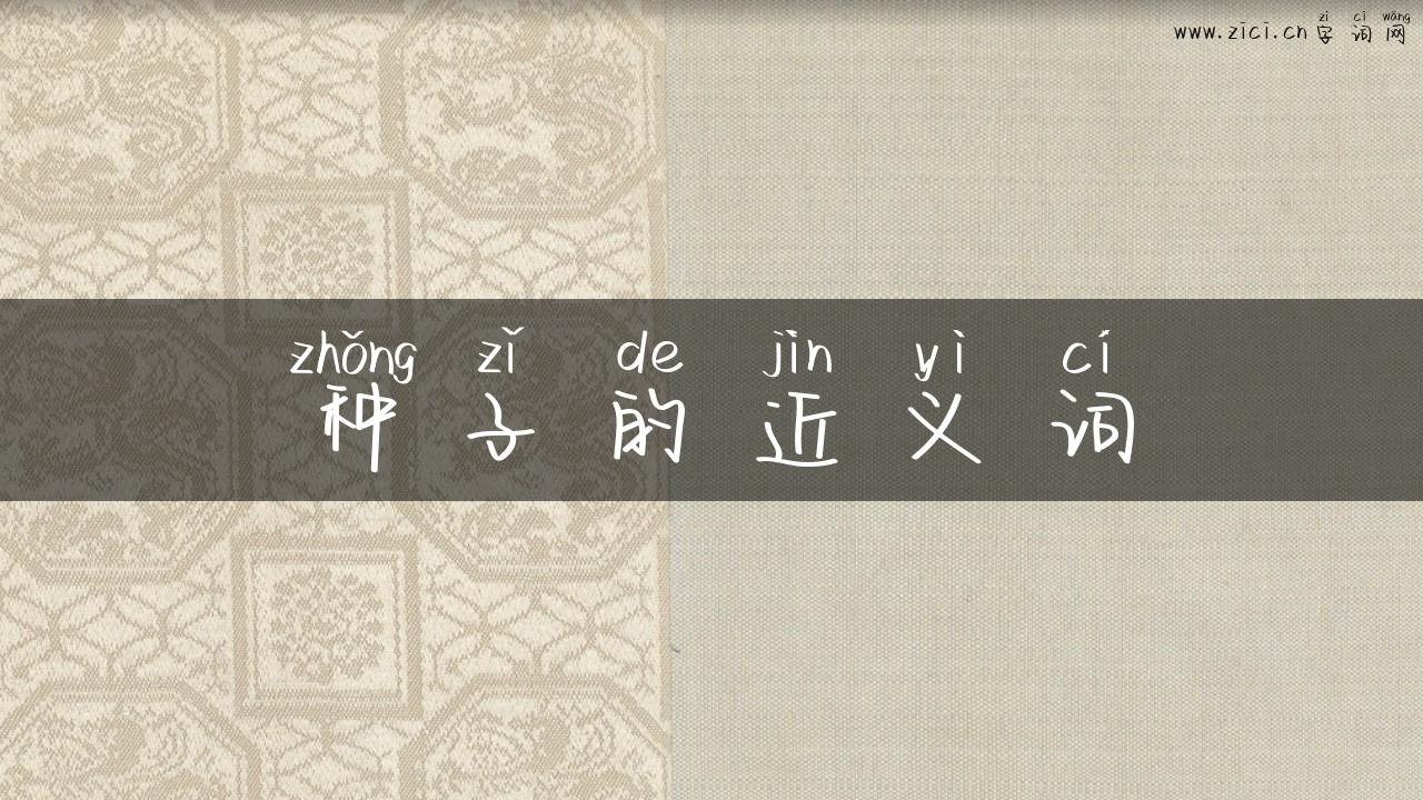 种子的近义词