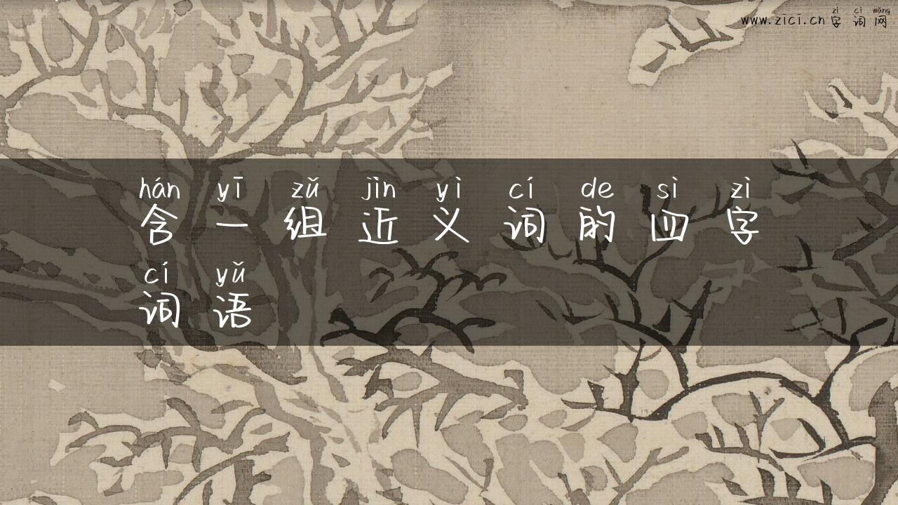 含一组近义词的四字词语