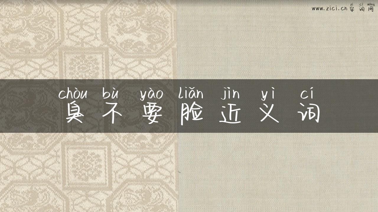 臭不要脸近义词