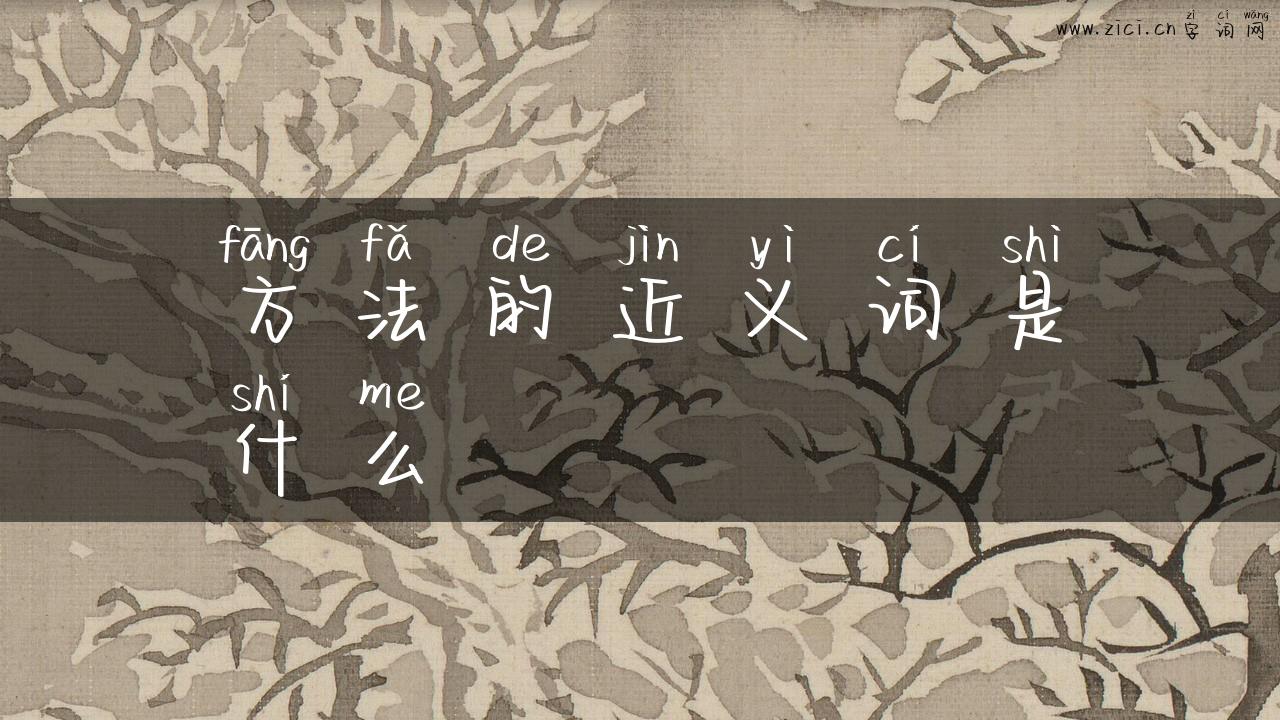方法的近义词是什么