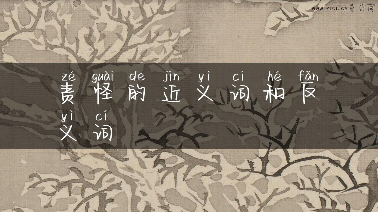 责怪的近义词和反义词