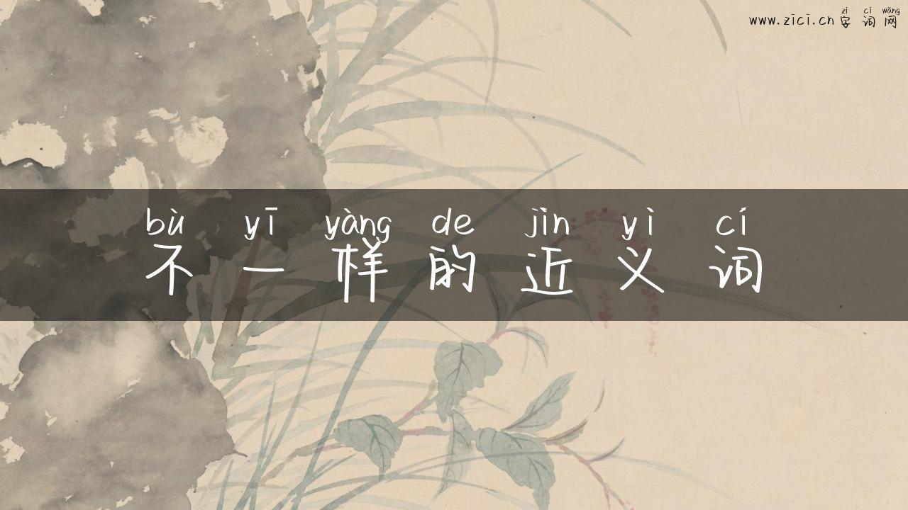 不一样的近义词