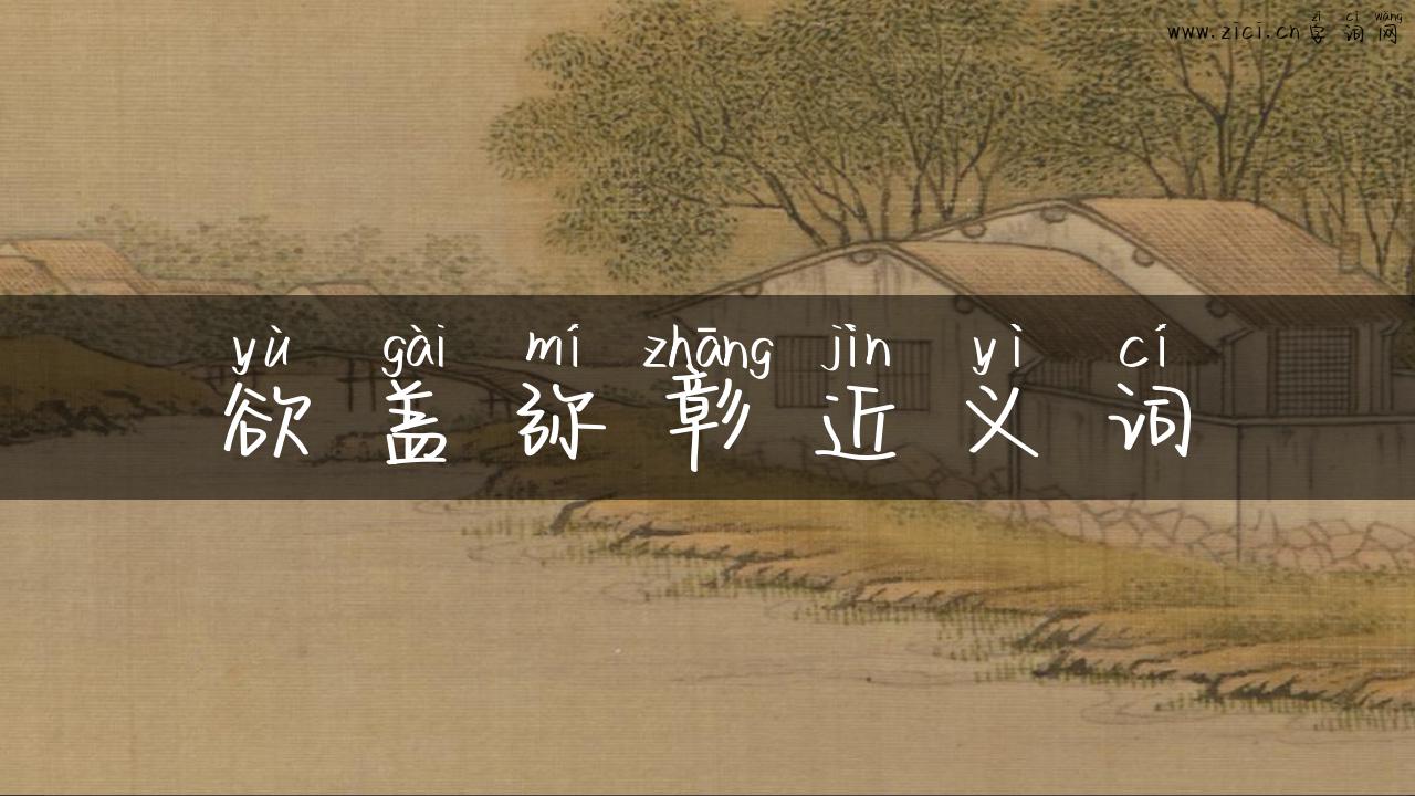欲盖弥彰近义词