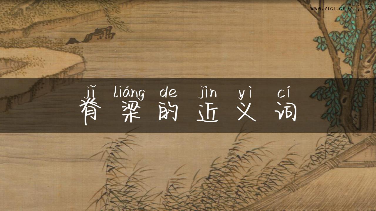 脊梁的近义词