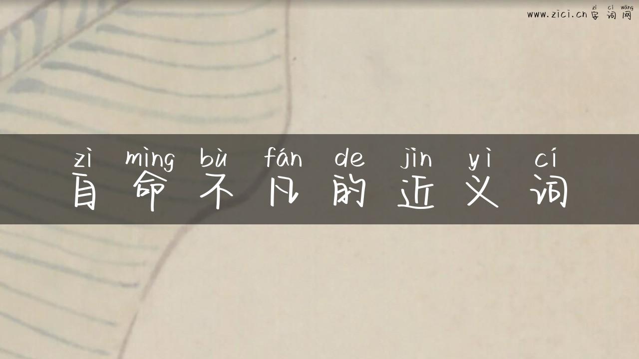 自命不凡的近义词