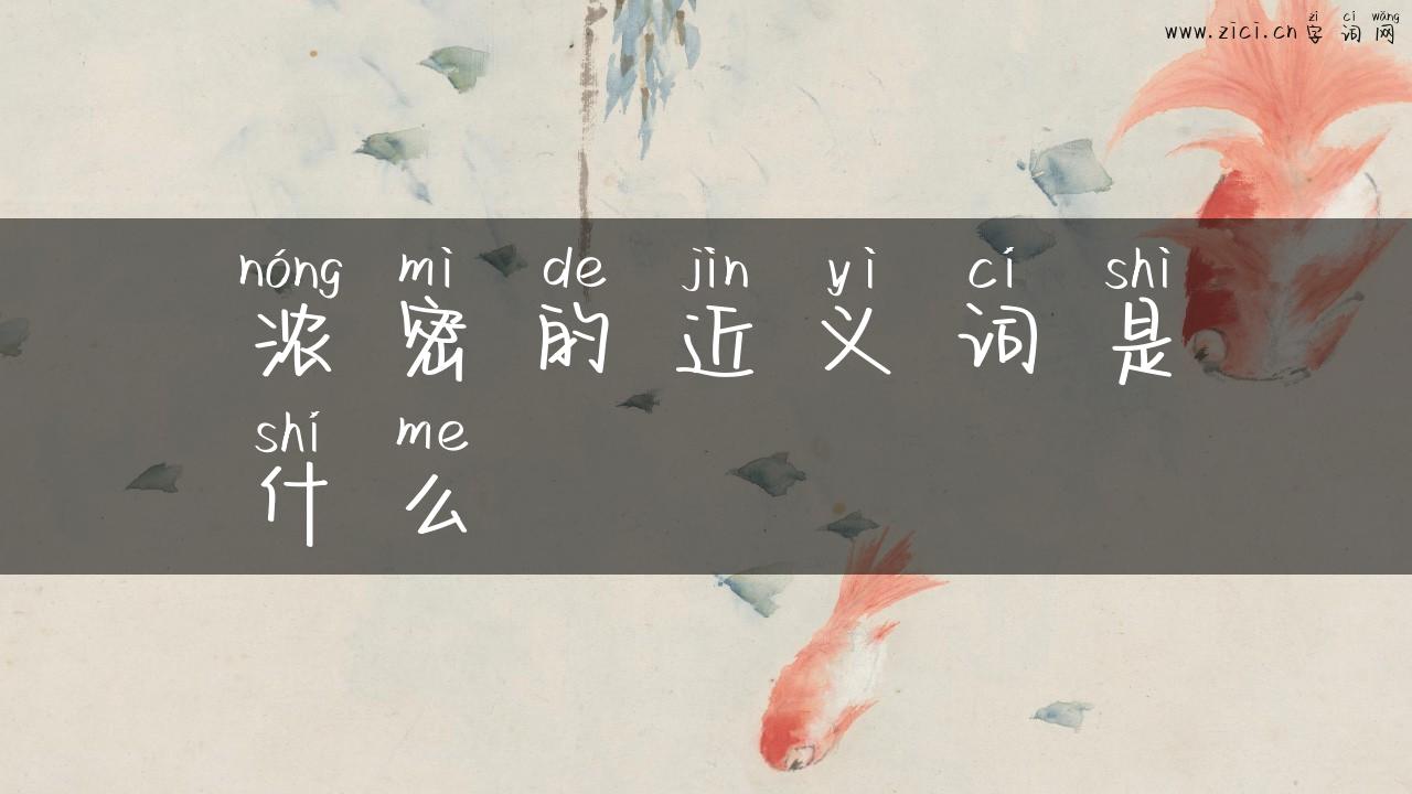 浓密的近义词是什么