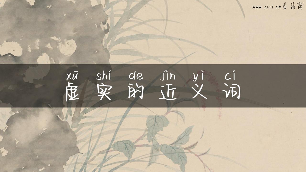 虚实的近义词