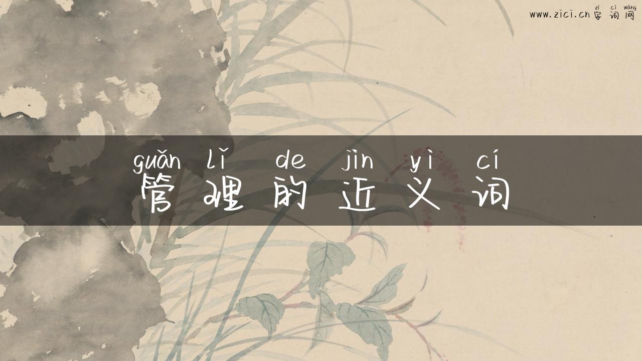 管理的近义词