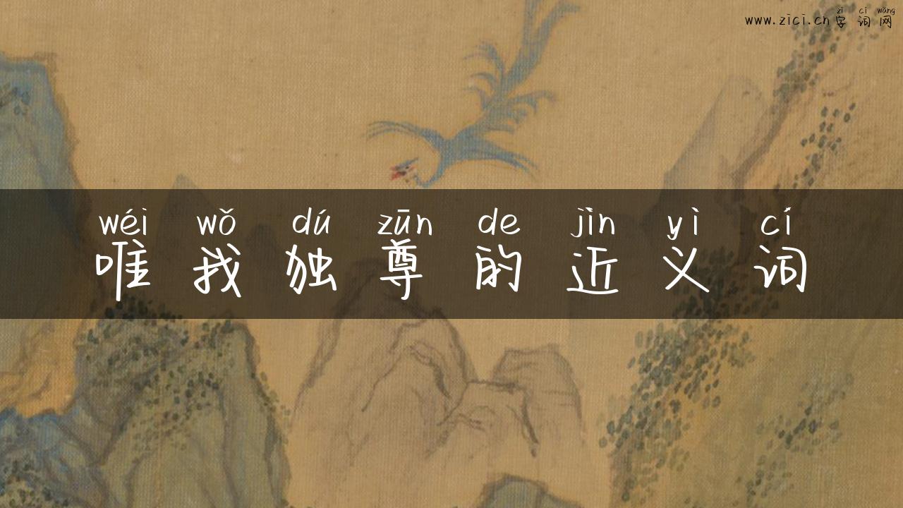 唯我独尊的近义词