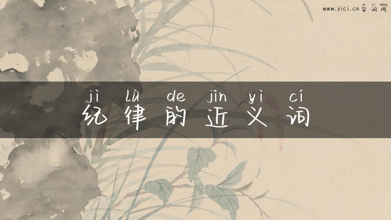 纪律的近义词