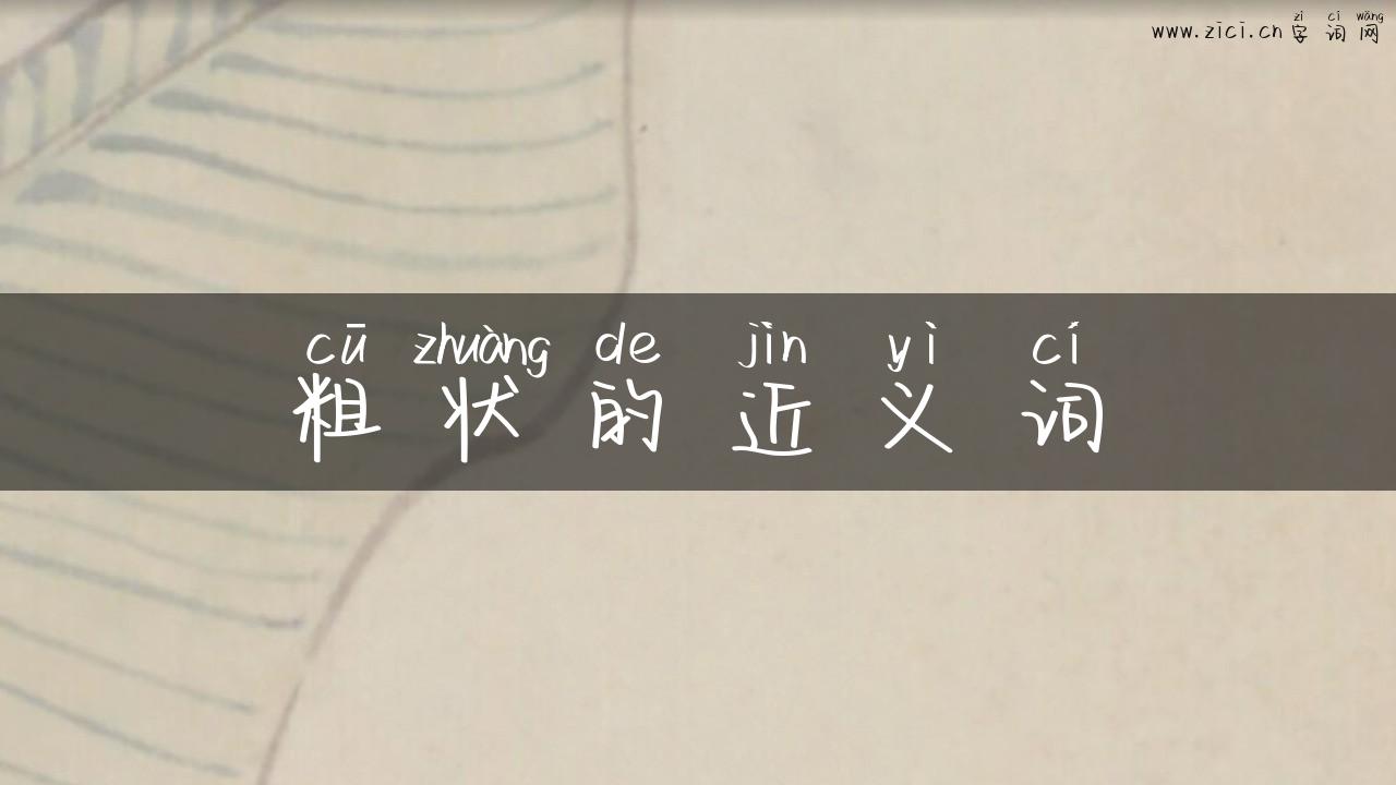 粗状的近义词