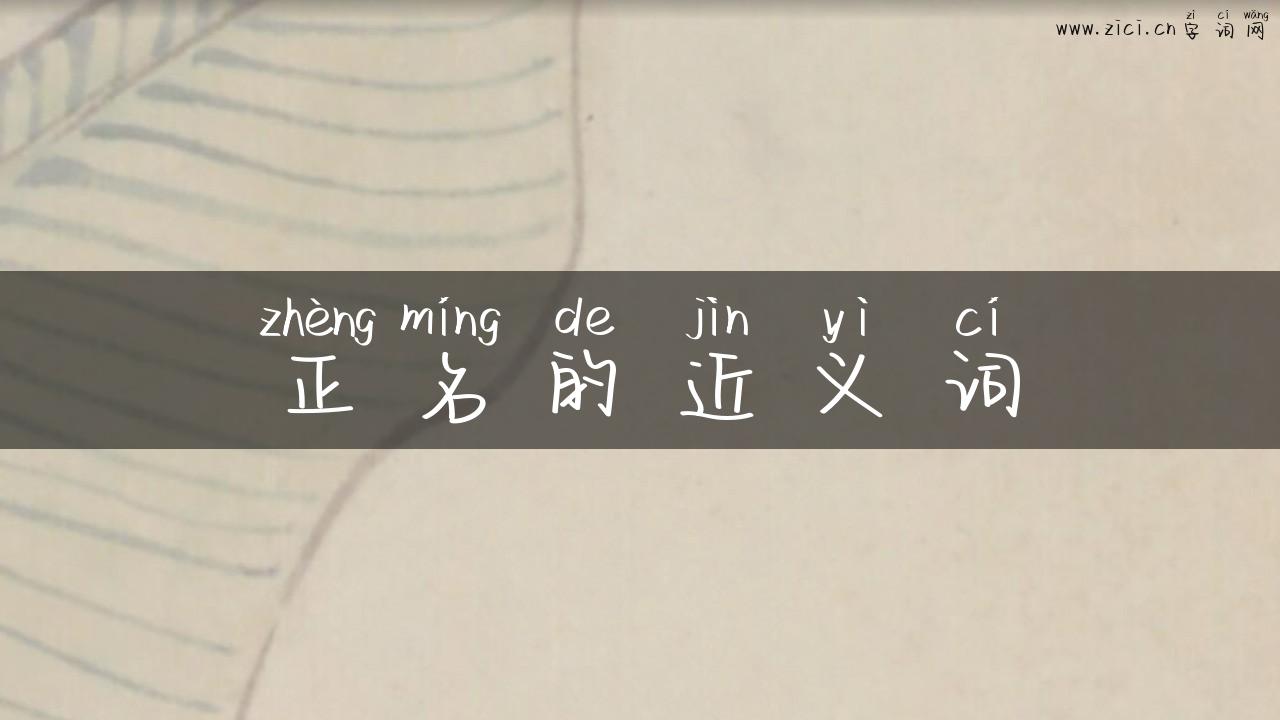 正名的近义词