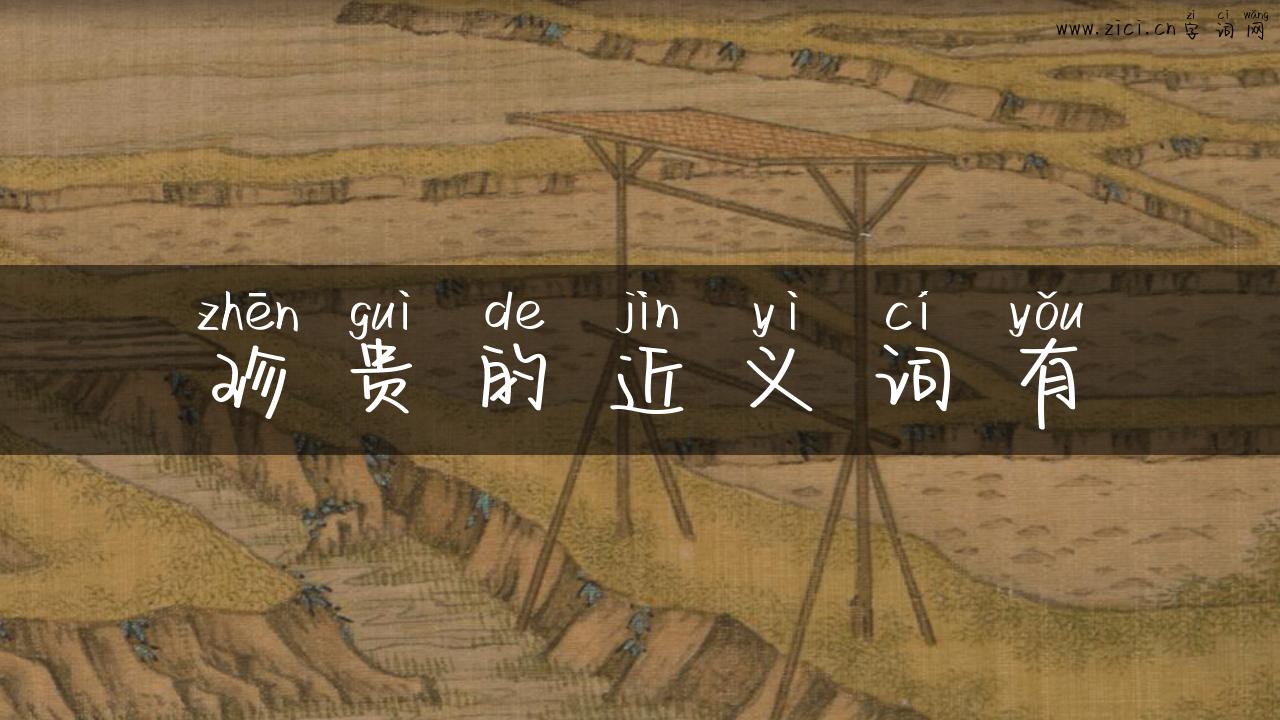 珍贵的近义词有