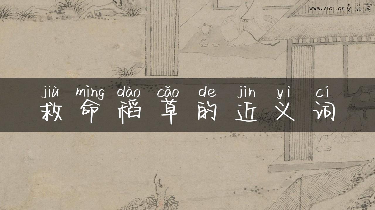 救命稻草的近义词