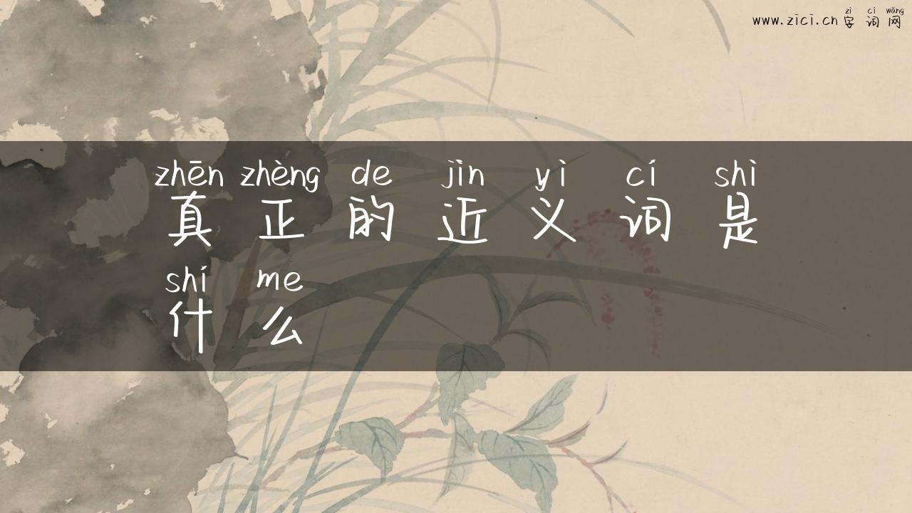真正的近义词是什么