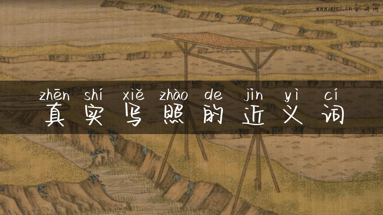 真实写照的近义词