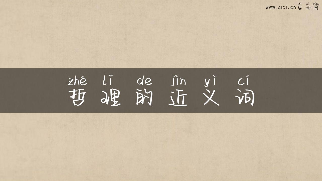 哲理的近义词