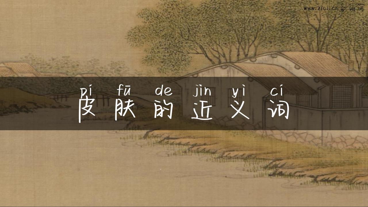皮肤的近义词