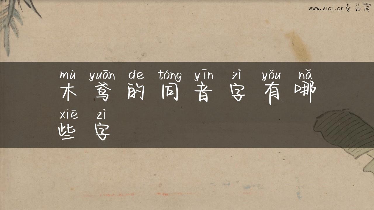 木鸢的同音字有哪些字