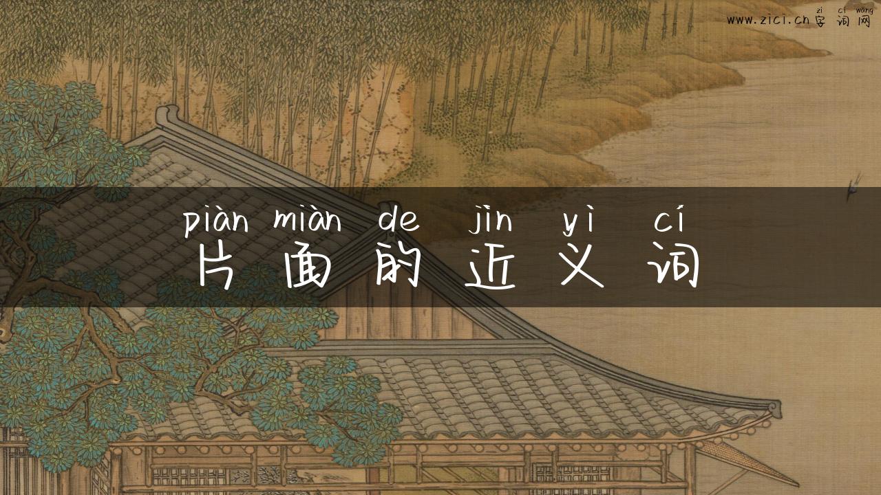 片面的近义词